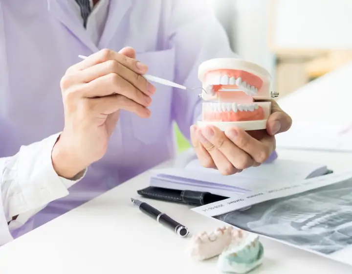 口内の模型を用いて説明する様子